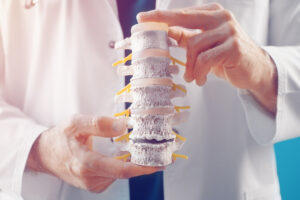 A doctor holding a spine - Understanding the Torque Release Technique